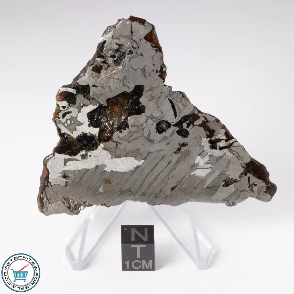Seymchan Pallasite Meteorite 44.6g Slice