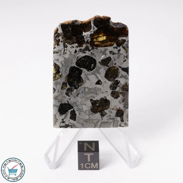 Seymchan Pallasite Meteorite 35.0g Slice