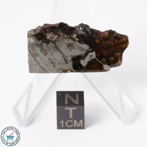 Seymchan Pallasite Meteorite 10.0g Slice