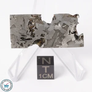 Seymchan Pallasite Meteorite 11.4g Slice