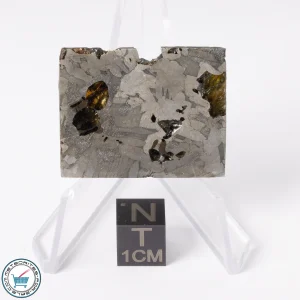Seymchan Pallasite Meteorite 14.8g Slice