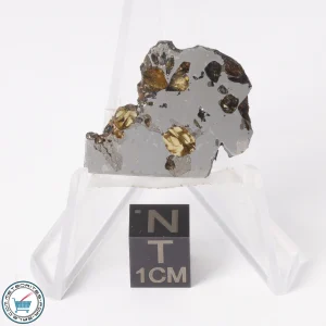 Seymchan Pallasite Meteorite 5.4g Slice