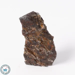 Seymchan Pallasite Meteorite 8.6g