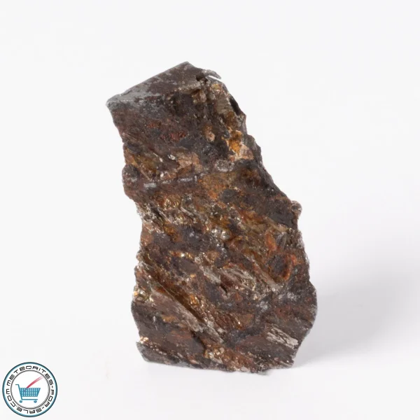Seymchan Pallasite Meteorite 8.6g