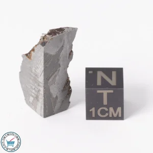 Seymchan Pallasite Meteorite 8.6g