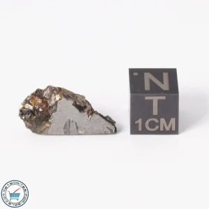 Seymchan Pallasite Meteorite 2.1g Slice