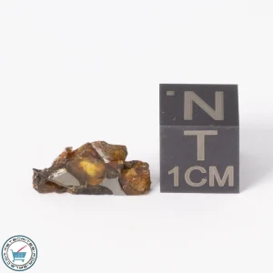Seymchan Pallasite Meteorite 0.6g Slice
