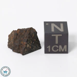 NWA 11343 CV3 Meteorite 1.69g End-Cut