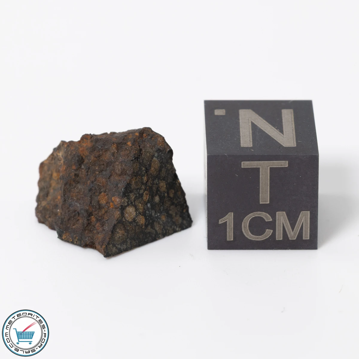 NWA 11343 CV3 Meteorite 1.69g End-Cut