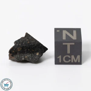 NWA 11343 CV3 Meteorite 1.69g End-Cut