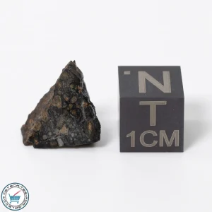 NWA 11343 CV3 Meteorite 1.50g Slice