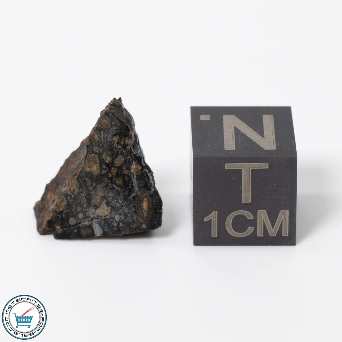 NWA 11343 CV3 Meteorite 1.50g Slice