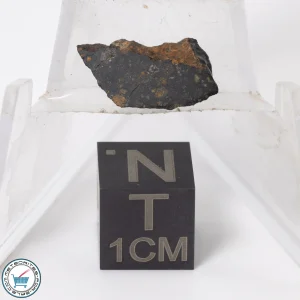 NWA 11343 CV3 Meteorite 0.51g Slice