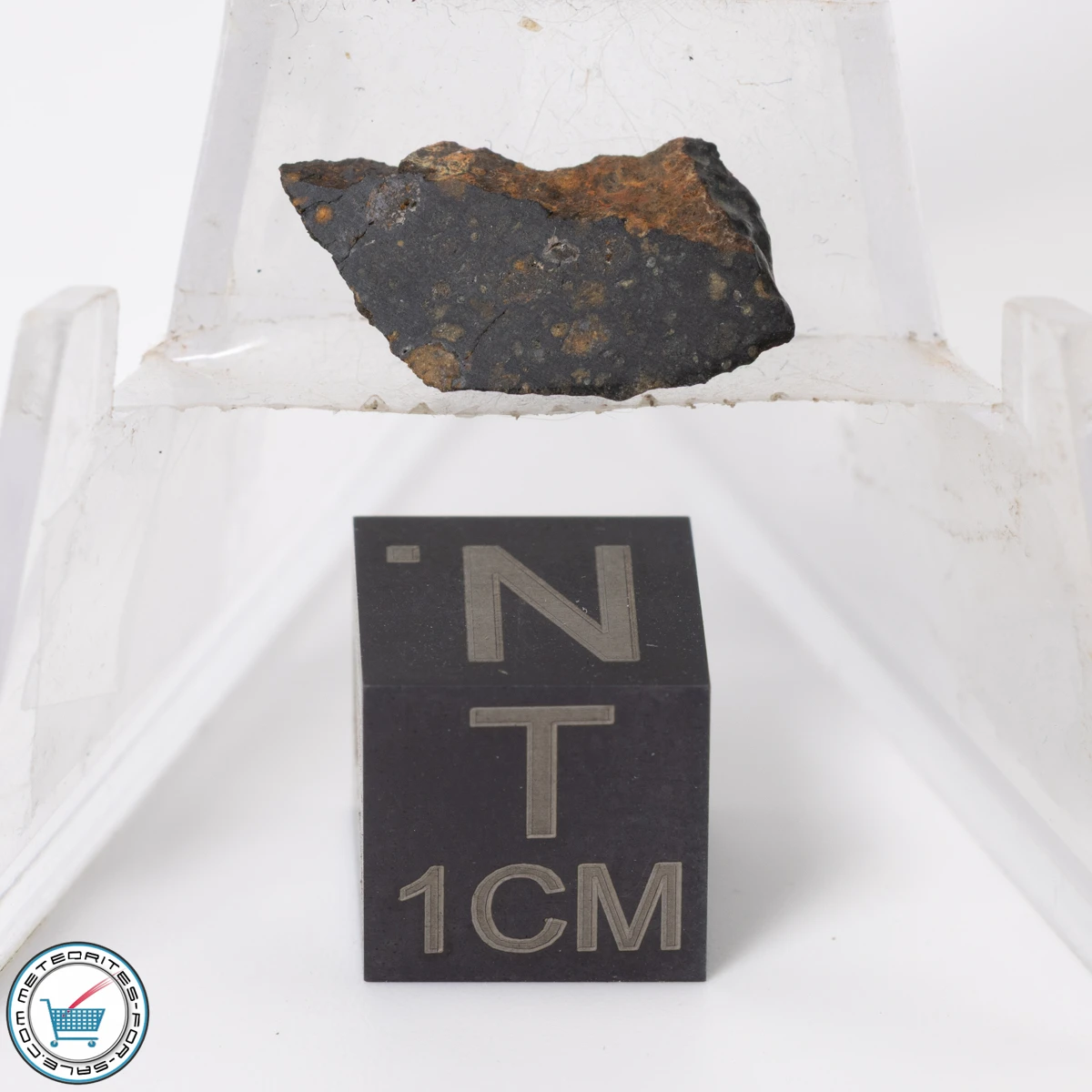 NWA 11343 CV3 Meteorite 0.51g Slice