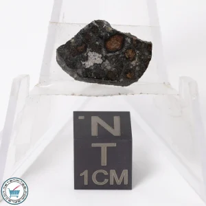 NWA 11343 CV3 Meteorite 0.83g Slice