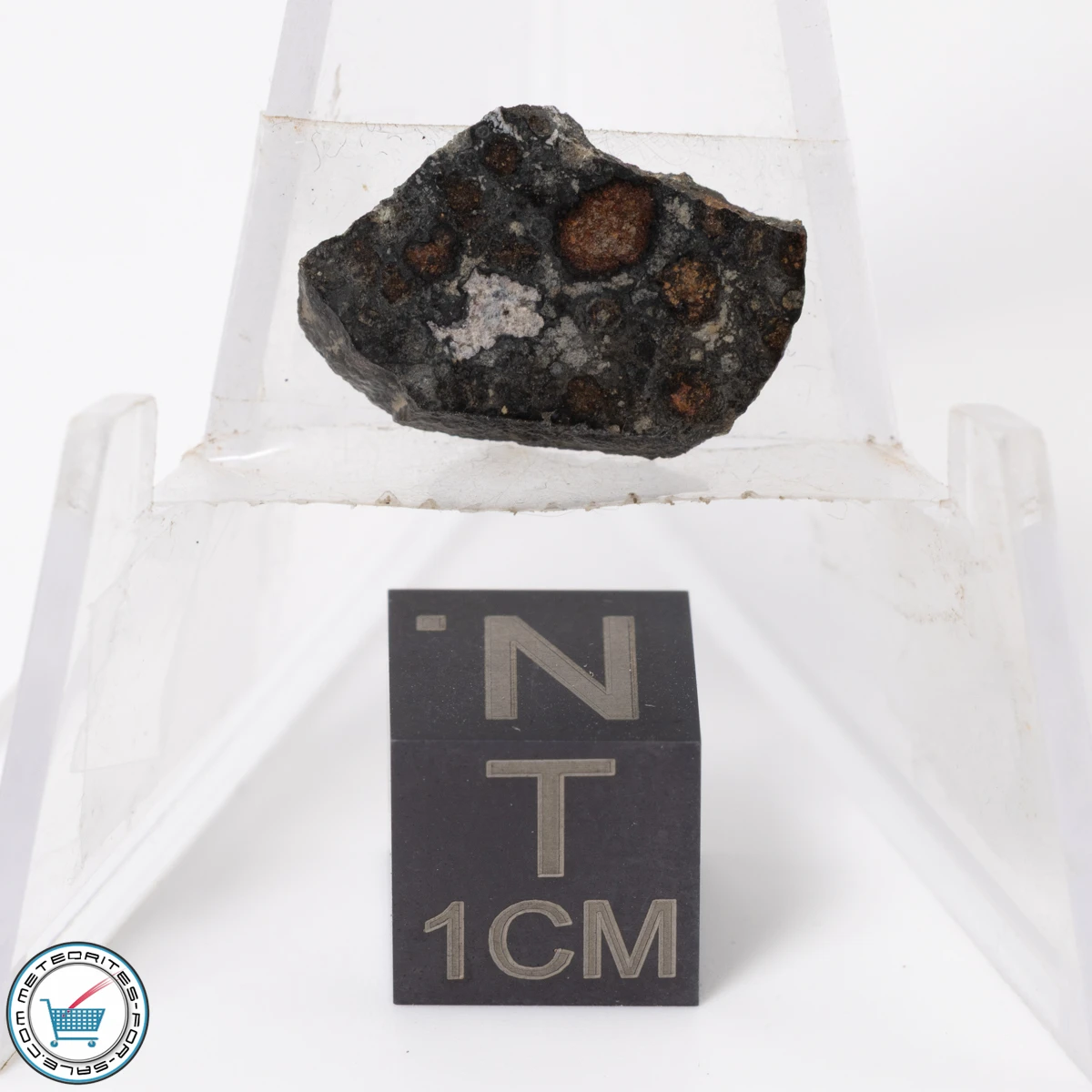 NWA 11343 CV3 Meteorite 0.83g Slice