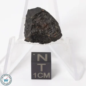 NWA 11343 CV3 Meteorite 2.46g End-Cut