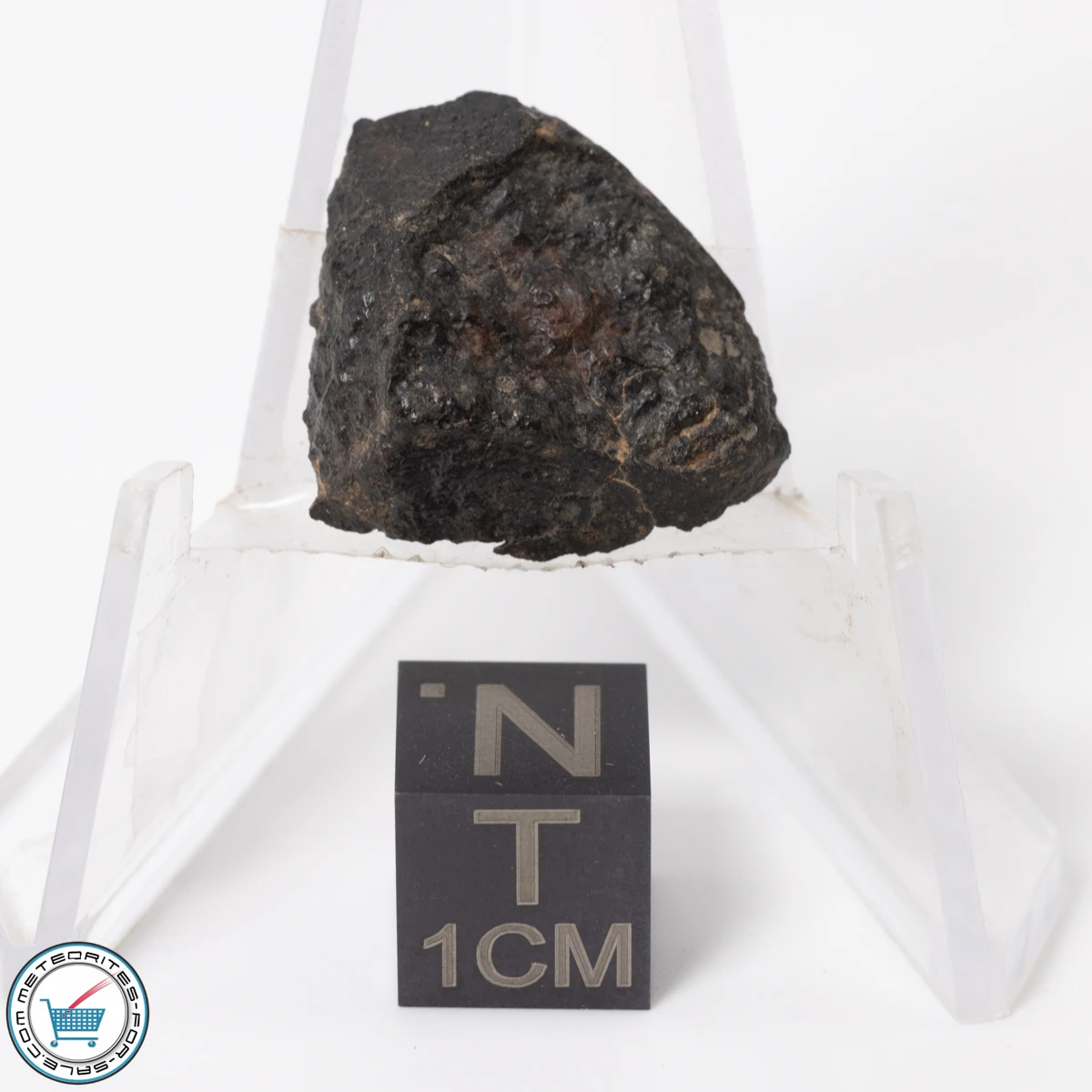 NWA 11343 CV3 Meteorite 2.46g End-Cut