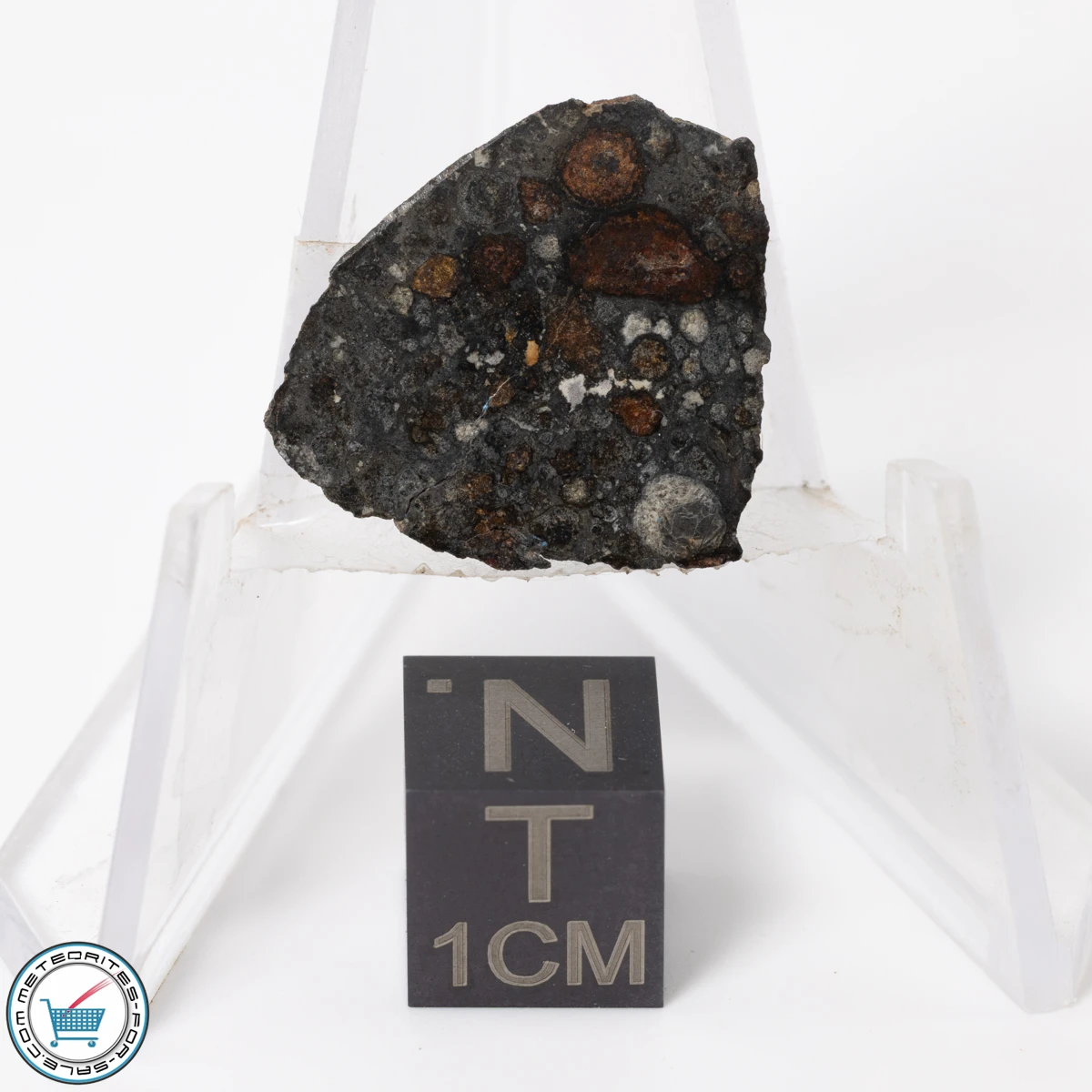 NWA 11343 CV3 Meteorite 2.46g End-Cut