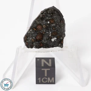 NWA 11343 CV3 Meteorite 1.63g Slice