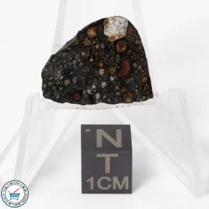 NWA 11343 CV3 Meteorite 2.55g Slice