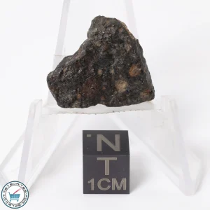 NWA 11343 CV3 Meteorite 3.01g End-Cut