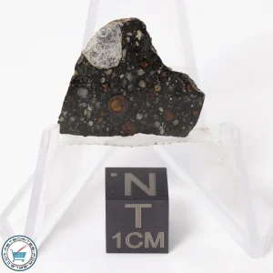 NWA 11343 CV3 Meteorite 3.01g End-Cut