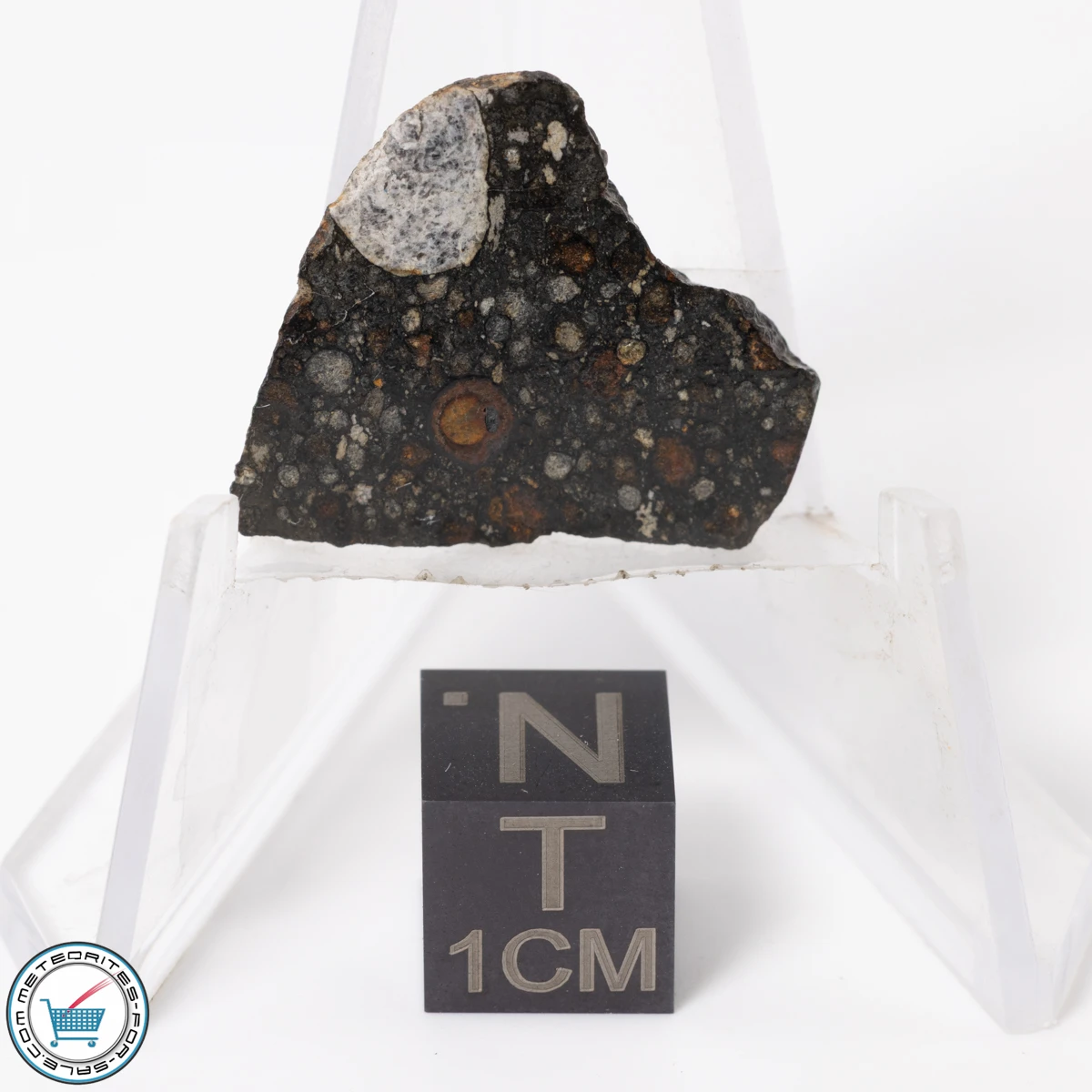NWA 11343 CV3 Meteorite 3.01g End-Cut
