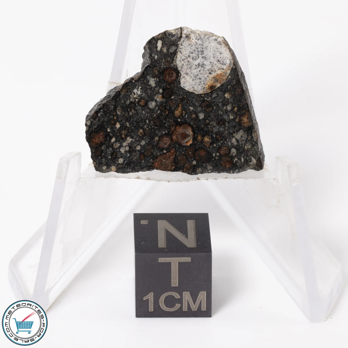 NWA 11343 CV3 Meteorite 3.28g Slice