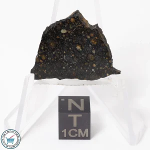 NWA 11343 CV3 Meteorite 3.0g Slice