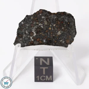 NWA 11343 CV3 Meteorite 1.91g Slice