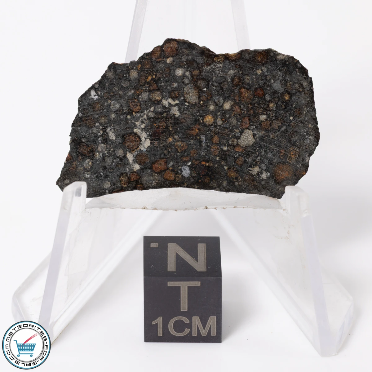 NWA 11343 CV3 Meteorite 1.91g Slice