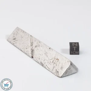 Aletai Meteorite 163.6g Shapes