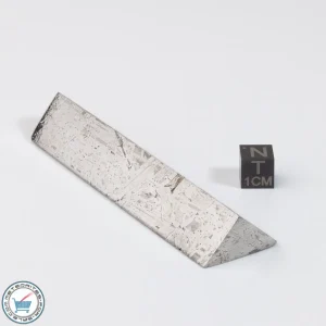 Aletai Meteorite 163.6g Shapes