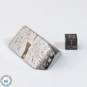 Aletai Meteorite 129.0g Shapes