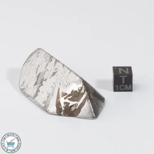 Aletai Meteorite 129.0g Shapes