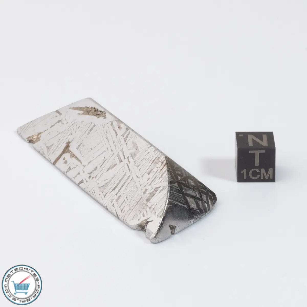 Aletai Meteorite 102.5g Shapes