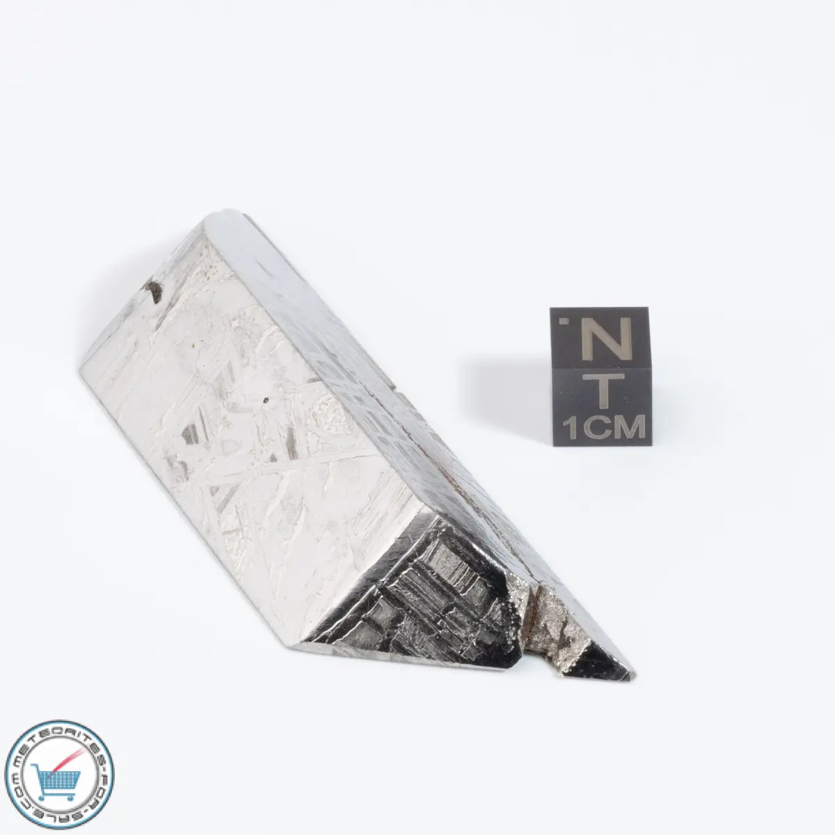 Aletai Meteorite 93.4g Shapes