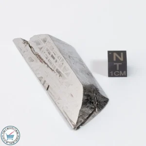 Aletai Meteorite 93.4g Shapes