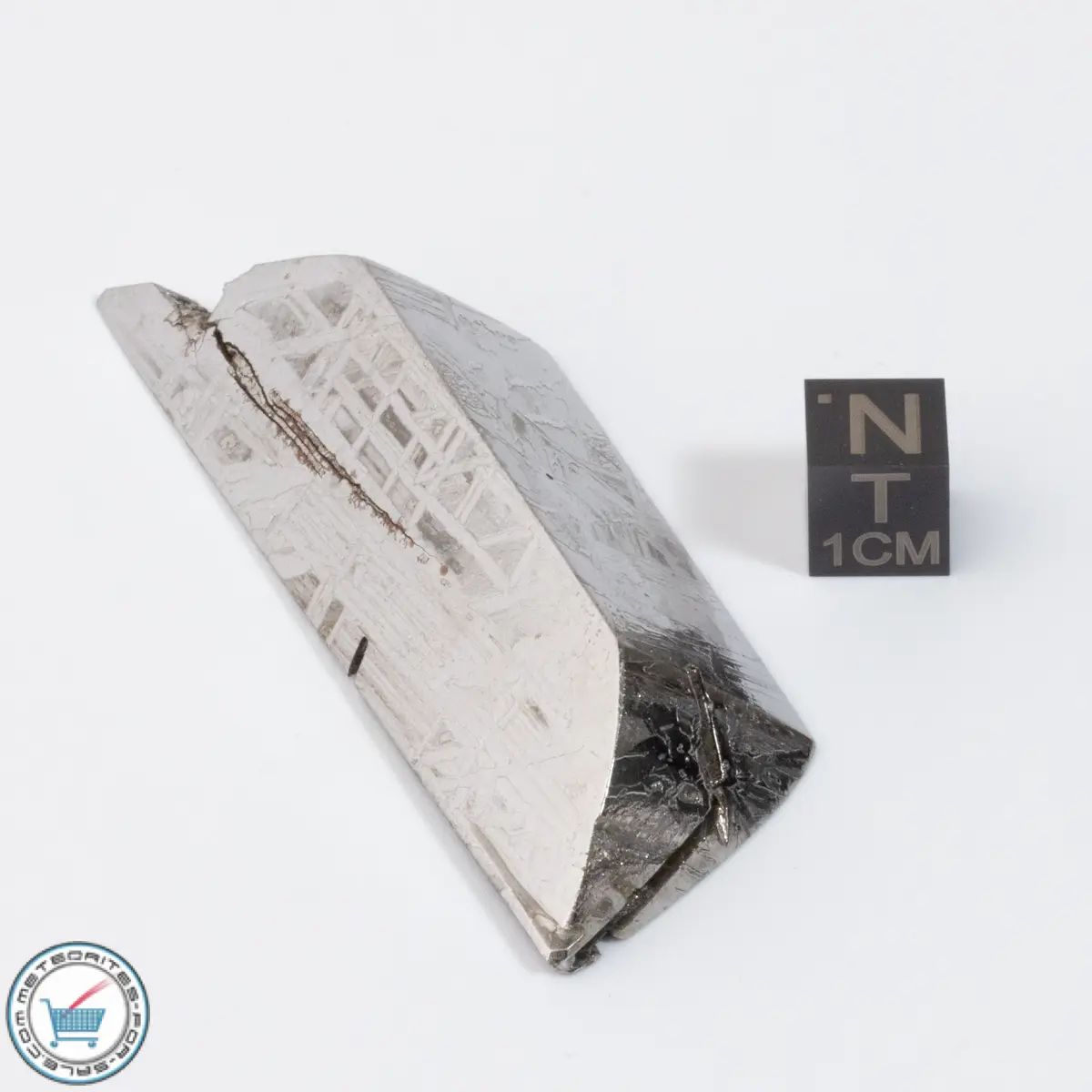 Aletai Meteorite 93.4g Shapes