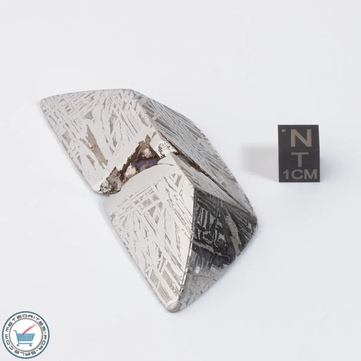 Aletai Meteorite 142.6g Shapes