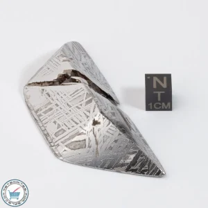 Aletai Meteorite 142.6g Shapes