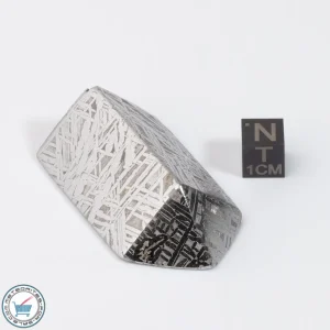 Aletai Meteorite 121.0g Shapes