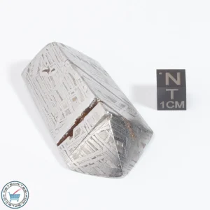 Aletai Meteorite 130.3g Shapes