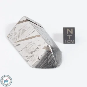 Aletai Meteorite 130.3g Shapes