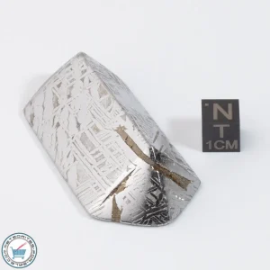 Aletai Meteorite 126.3g Shapes