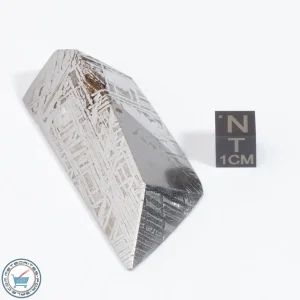 Aletai Meteorite 110.3g Shapes