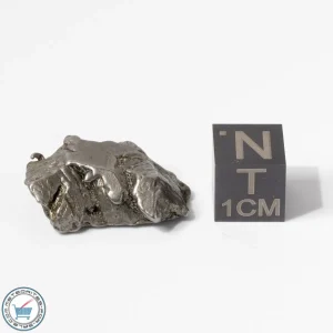 Aletai Meteorite 10.2g Crystal