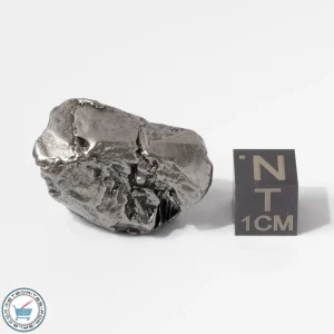 Aletai Meteorite 24.9g Crystal