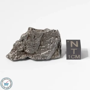 Aletai Meteorite 38.0g Crystal